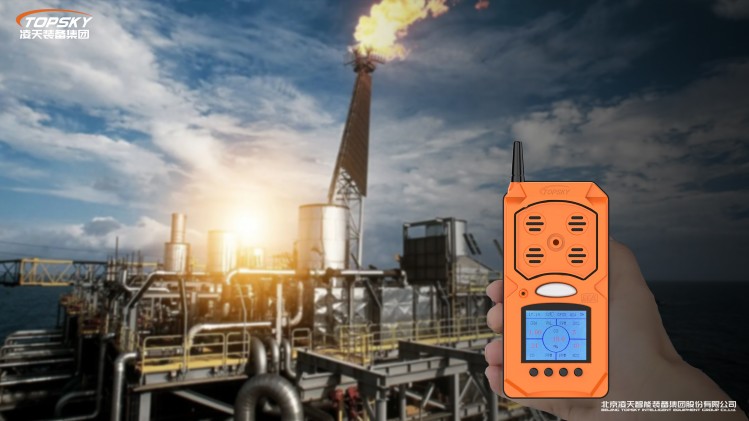 1736839918271234.jpg 15.CD4防爆無線復(fù)合氣體檢測儀第4代.jpg